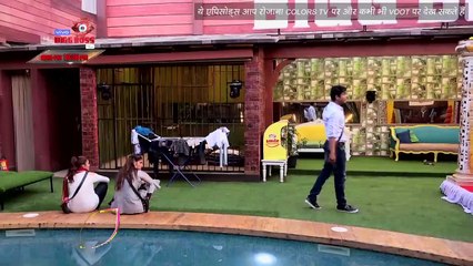 BB 13 Ep 37 Sneak Peek | 20 Nov 2019: छोटी सी बात पर फिर भिड़े  Asim Riaz और Sidharth Shukla