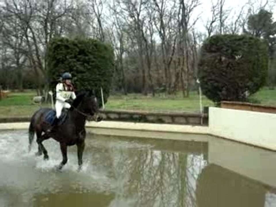 CCE Vedene Dimanche 24 Fevrier 2008