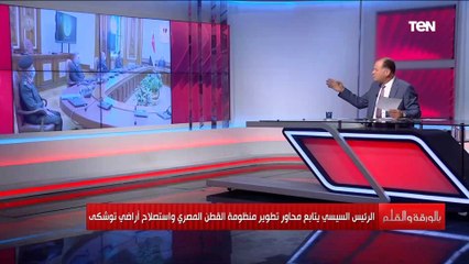 الديهي: الرئيس السيسي يخطط لتطوير منظومة القطن المصري من زراعة وإنتاج حتى يستعيد مكانته العالمية