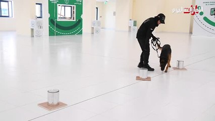 بالفيديو: 3 مواطنات طَوَّعن الكلاب البوليسية للكشف عن الجريمة