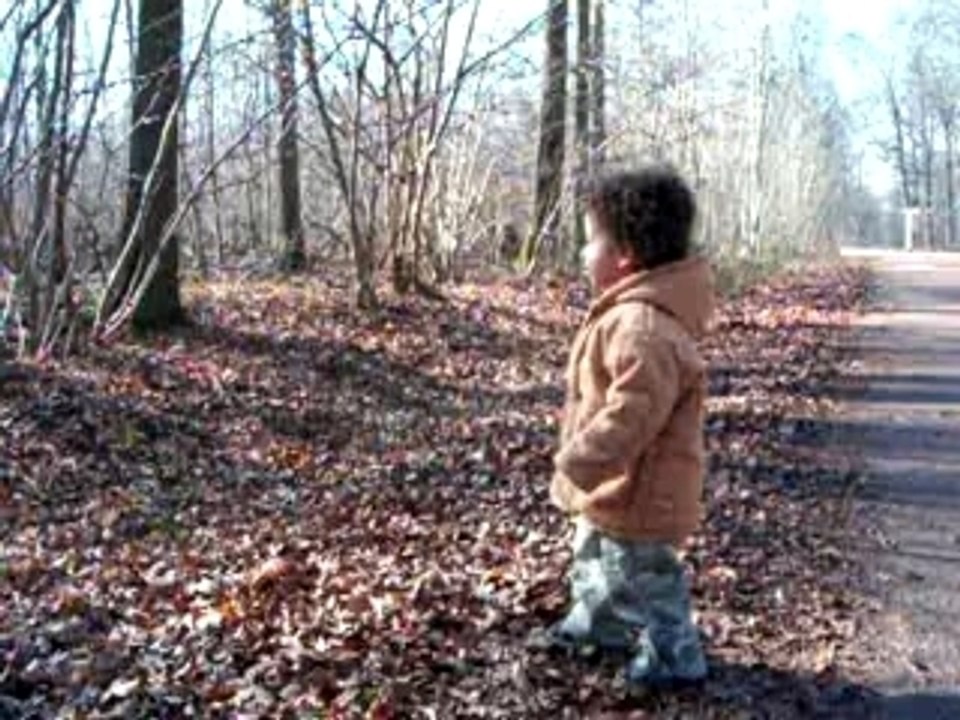 Eliott en foret