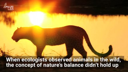 Disney Tried to Teach Us About the ‘Circle of Life:’ But It May Be More Chaotic In Real Life