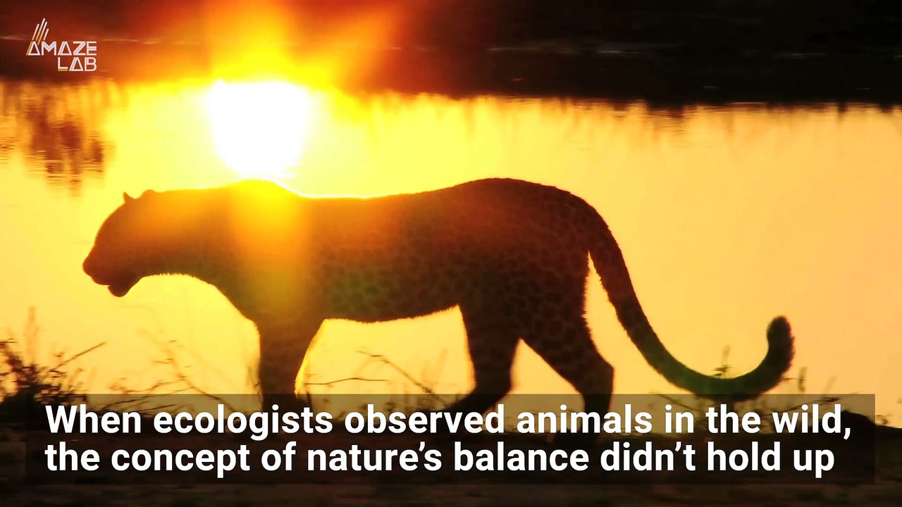 Disney Tried to Teach Us About the ‘Circle of Life:’ But It May Be More Chaotic In Real Life