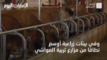 بالفيديو.. ازدياد الإقبال على بدائل اللحوم النباتية