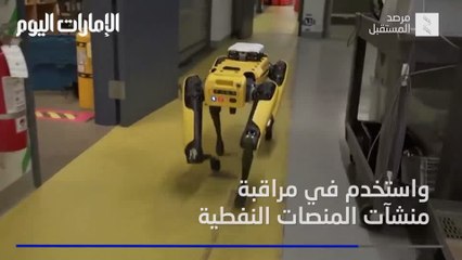 بالفيديو: "سبوت".. روبوت لرعي الأغنام في نيوزيلاندا