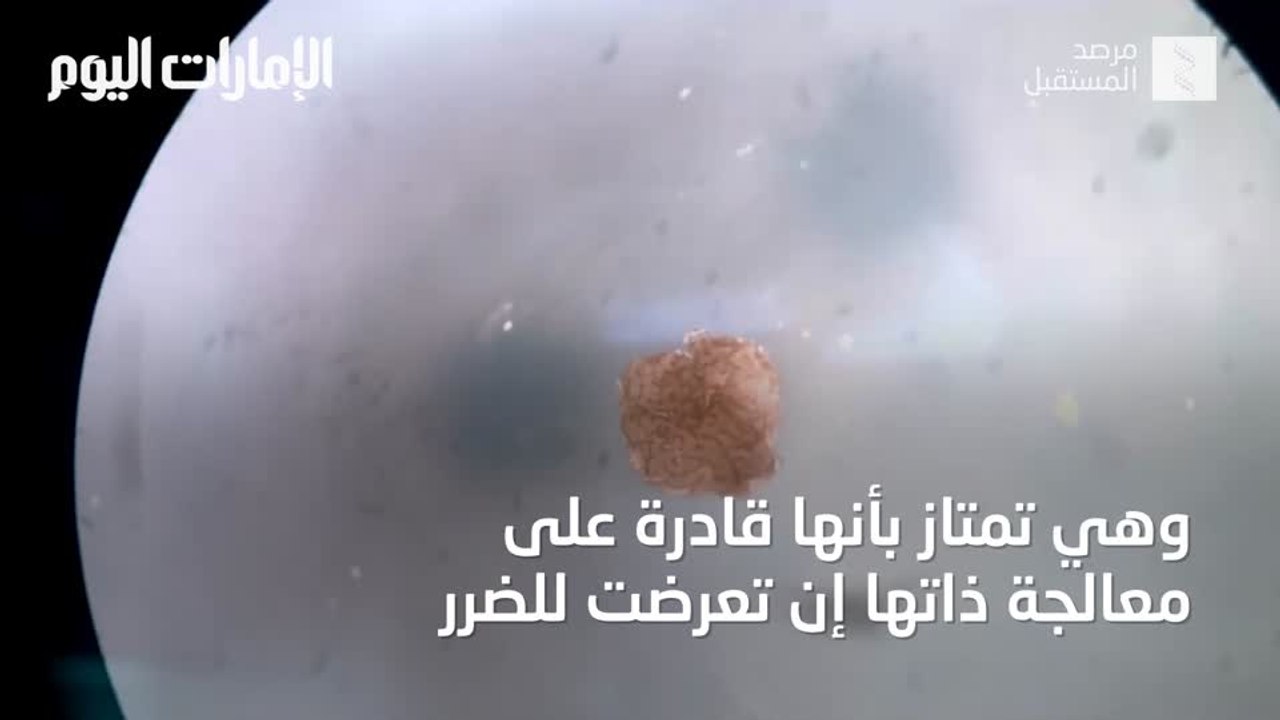 بالفيديو: خلايا "روبوتية" حية  قادرة على تنظيف المحيطات من البلاستيك والملوثات