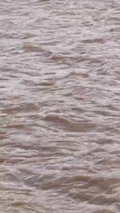 بالفيديو.. تعرّف إلى أخطر وادٍ تسبب في تضرر 120 أسرة برأس الخيمة