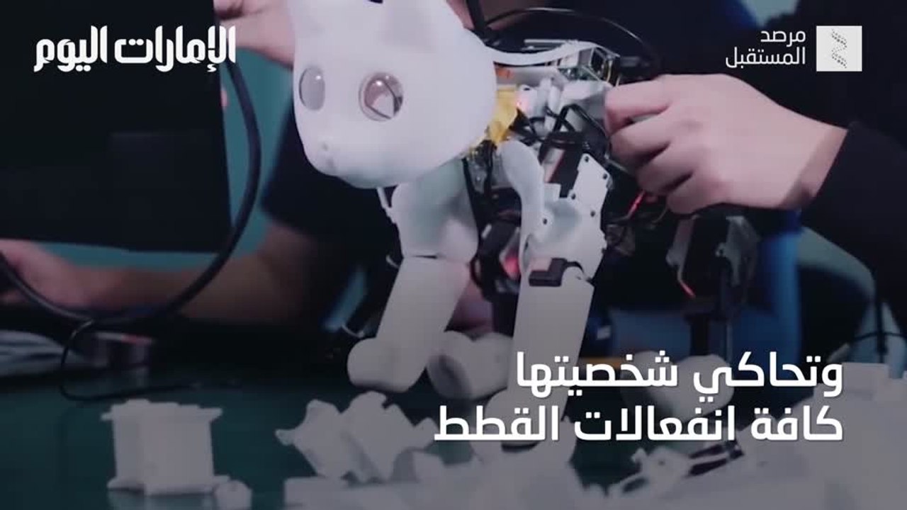 بالفيديو.. «مارس كات» روبوت أليف مصمم لعشاق القطط في كل مكان