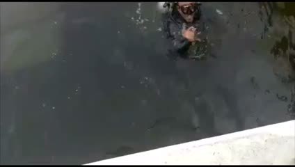 الدفاع المدني بعجمان يسعد زوجين باستخراج دبلة زواجهما من عمق البحر