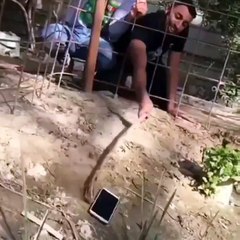 Estos dos parecen los hermanos Garzón en acción...