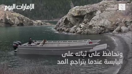 بالفيديو: "ماكس غيت".. جسر للانتقال الآمن من القوارب