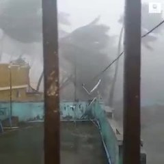 بالفيديو.. الإعصار "فاني" يجتاح الساحل الهندي ويلحق أضرارا "هائلة"