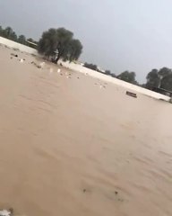 بالفيديو.. مقبرة الصالحية تحولت لبركة مياه ومدرسة شمل توقف الدراسة مؤقتا لتضرر مرافقها