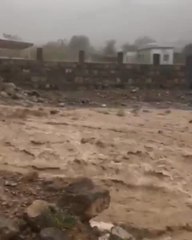 بالفيديو.. هطول أمطار على دبي وأبوظبي