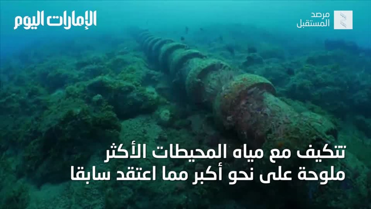 بالفيديو.. هل تعلم كم تبلغ تكلفة تحلية مياه البحر؟