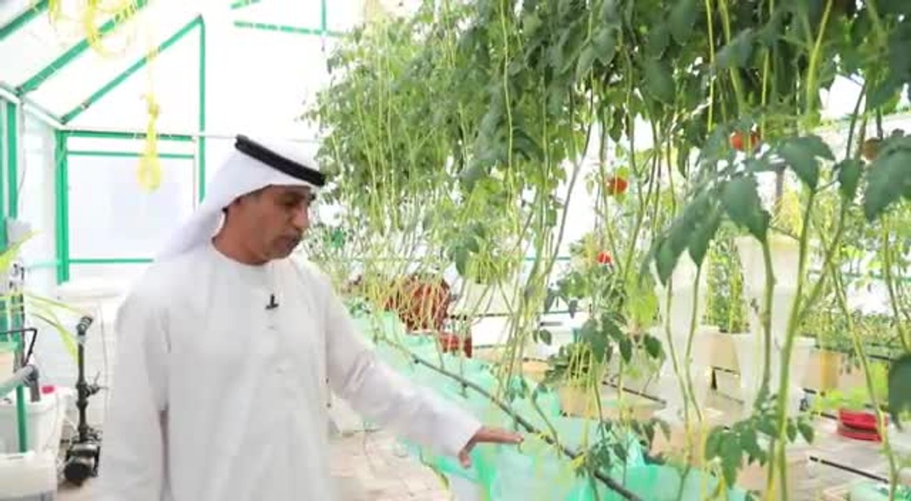 مواطن يحوّل بيته إلى «محمية» للزراعة المائية