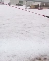 بالفيديو.. شاهد هطول الأمطار والثلوج المتفرقة على أنحاء الدولة