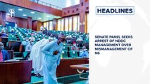 Senate panel seeks arrest of NDDC Management over mismanagement of N6.2bn⁣ and more
