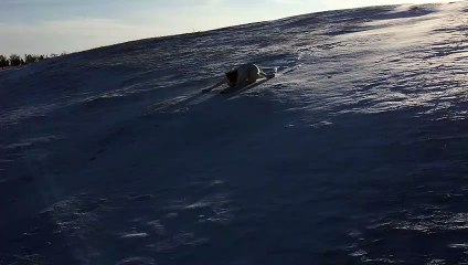 Doggo Rolls Down Snowy Hill