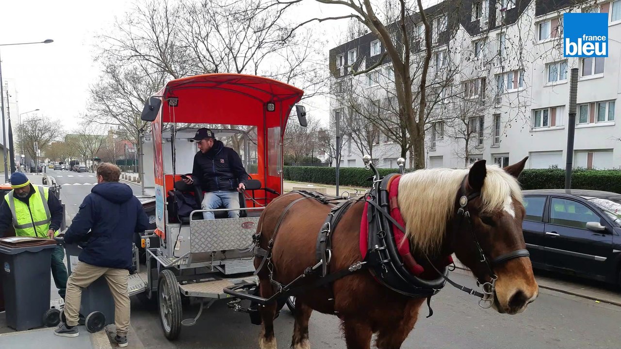Queteur, la nouvelle mascotte du Clos Saint-Lazare à Stains