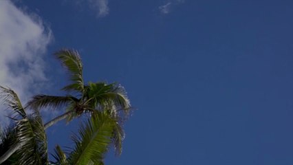 This Bahamas Resort Will Send You Home Via Private Jet If You Test Positive for COVID-19