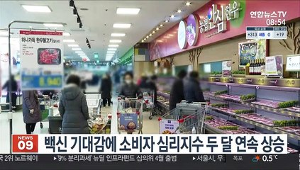 백신 기대감에 소비자 심리지수 두 달 연속 상승