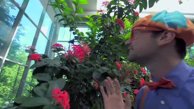 Blippi Español Visita el Pacific Science Center | Videos educativos para niños | Museo para Niños