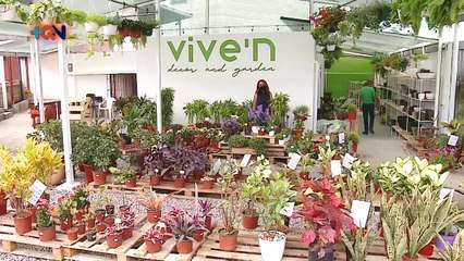 De parqueo de busetas a vivero lleno de vida