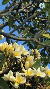 allah jab bande ko yaad karte hai tho uski barkat | peer zulfiqar ahmad naqshbandi db