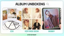 [Pops in Seoul] Cameron's Top Picks Album Unboxing for February 2021 [K-pop Dictionary]