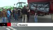 شاهد: مزارعون ومربو ماشية فرنسيون يتظاهرون مع أبقار في مدينة ليون الفرنسية