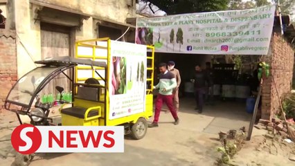 Nature lover opens a  free tree clinic in India