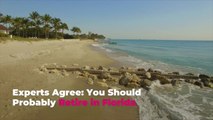 Experts Agree: You Should Probably Retire in Florida