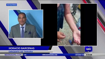 Скачать видео: Entrevista a Horacio Barcenas, sobre residentes oprimidos por unidades del Senafront en Tanara - Nex Noticias