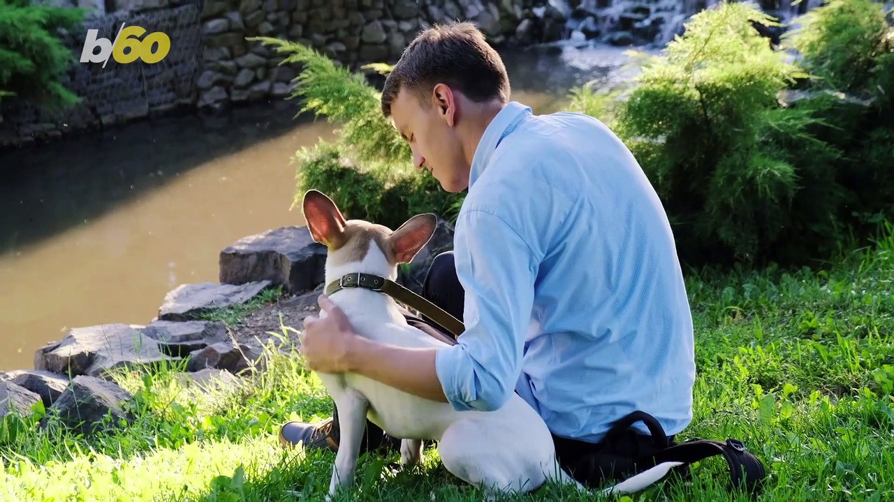 Can Dogs Alter Your Brains? Science Says Yes