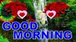 Good morning whatsapp status| sweet & cute good morning wishes | amazing good morning video