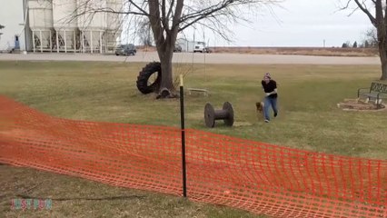 Videos De Risa 2021 nuevos  Videos Graciosos...!!!