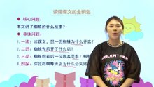 20蜘蛛开店|小学语文课文|二年级下