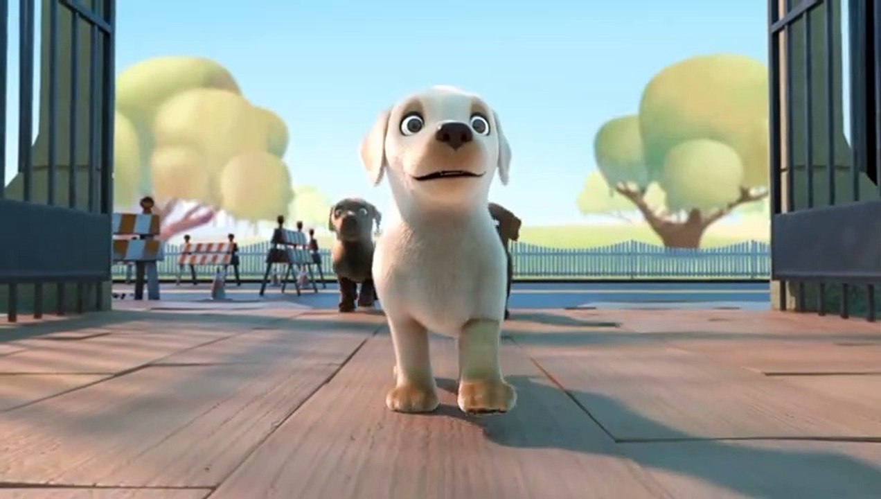 Short Animated Films