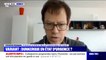 "Notre maison brûle": Philippe Froguel, professeur au CHU de Lille, alerte sur la situation en métropole lilloise