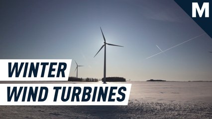Yes, wind turbines can totally thrive in the cold. Including Antarctica.