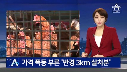 AI 확산에 ‘반경 3km 살처분’…가격 폭등 불렀다
