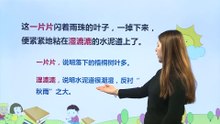 5铺满金色巴掌的水泥道|小学语文课文|三年级上