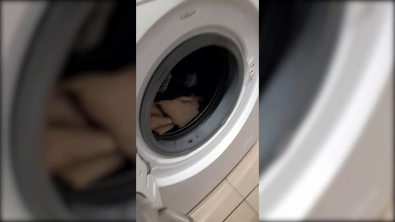 Rat in washing machine in Roker