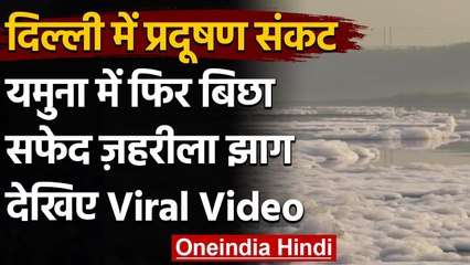 Delhi: Yamuna River में जहरीले झाग की मोटी परत, Social Media पर आए ऐसे Comments । वनइंडिया हिंदी