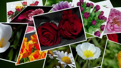 Spruce Up Your Garden In Time For Spring’s Arrival