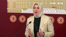 AK Partili Özlem Zengin'den açıklama: Bu saldırının hedefi benim