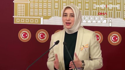 AK Partili Özlem Zengin'den açıklama: Bu saldırının hedefi benim