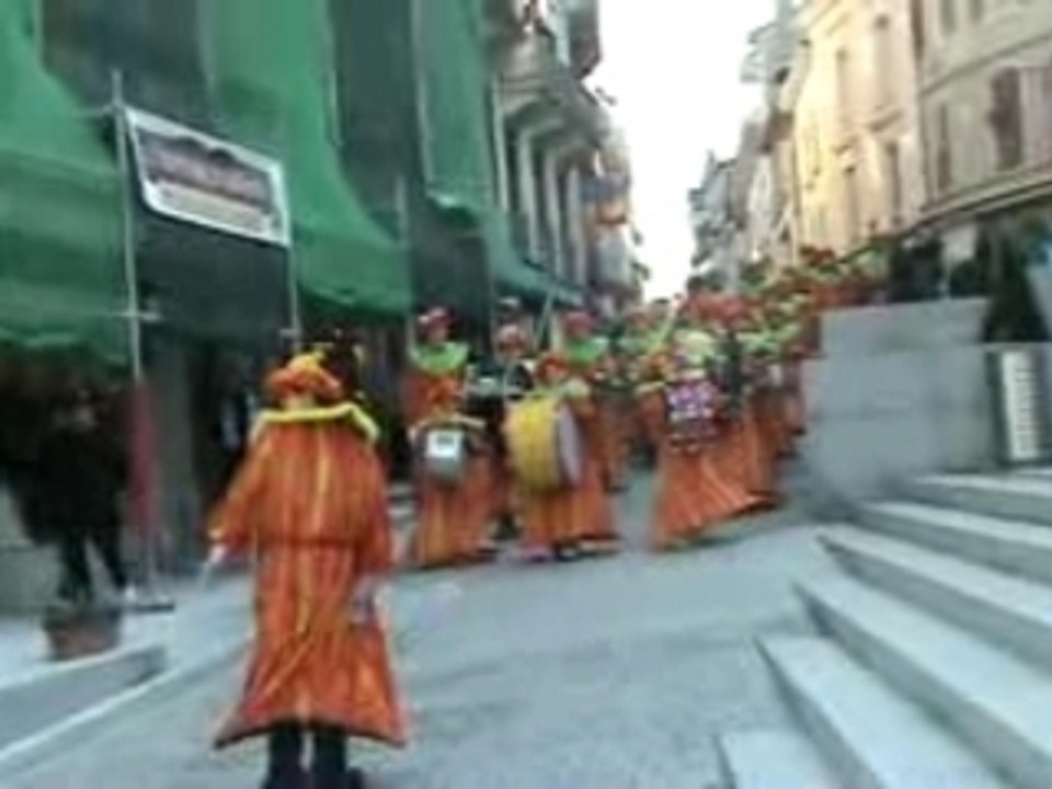 Carnaval d'Evian, les 3canards et les canetons
