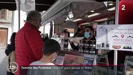 Agriculture : la Tomme des Pyrénées et les espoirs de l’IGP